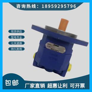 天津PERMCO泊姆克齿轮泵P124-G25085LD54液压泵钻机吊车煤车配套