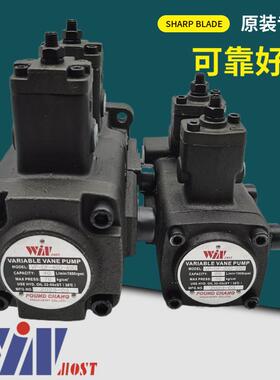 峰昌WINMOST双联叶片泵VP-DF-12A/B12C/D油泵DF-20A/B20C/D-01/02