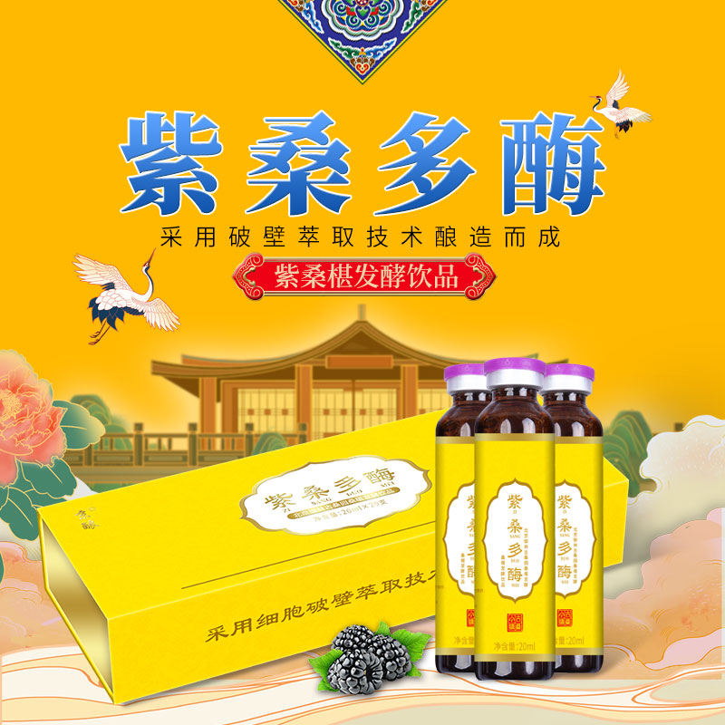 京酿紫桑椹生物发酵饮品水果果蔬汁酵素饮料口服液 20ml*20礼盒装