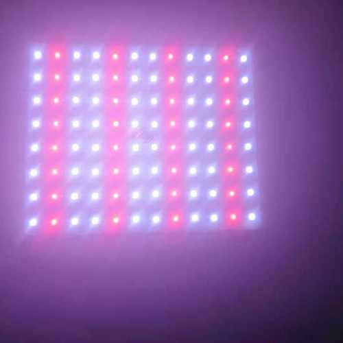 昊越红白彩光摆摊灯电瓶低压灯