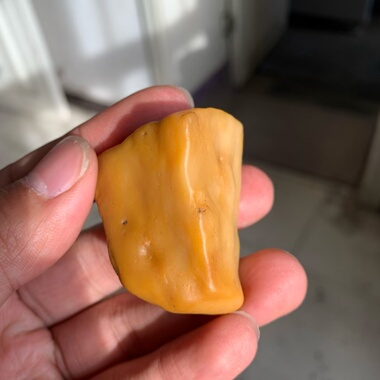 天然鸡油黄秋梨皮沙漠漆原石把玩件重57.3克雕刻出精品戈壁奇石