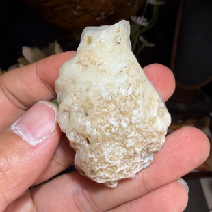 新疆哈密地表籽料大洼地糖皮蛋白石鸡骨白高玉化原石把玩件重44克