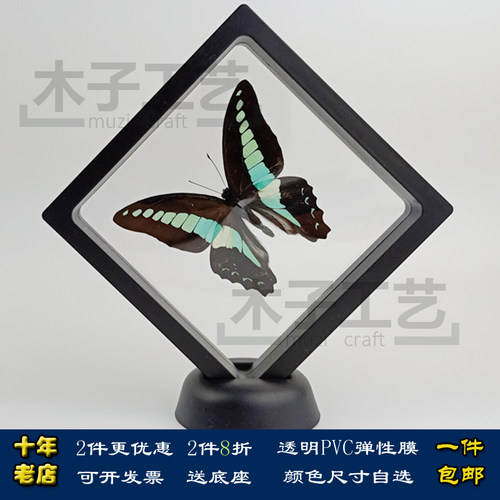 蝴蝶标本昆虫相框柑橘结婚工艺品