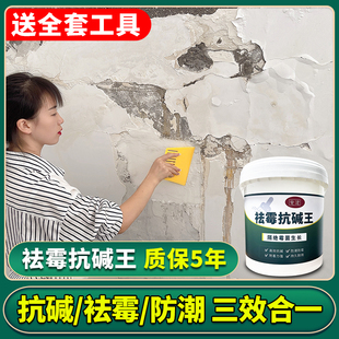 水泥墙面返碱处理抗碱克星除碱剂封闭底漆墙体反碱防潮防霉消碱剂