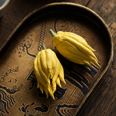 佛手瓜仿真陶瓷文艺茶宠摆件
