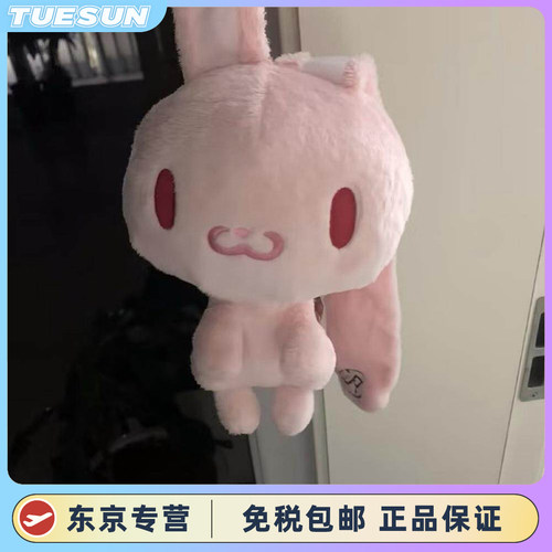 日本正版泛用兔中古毛绒