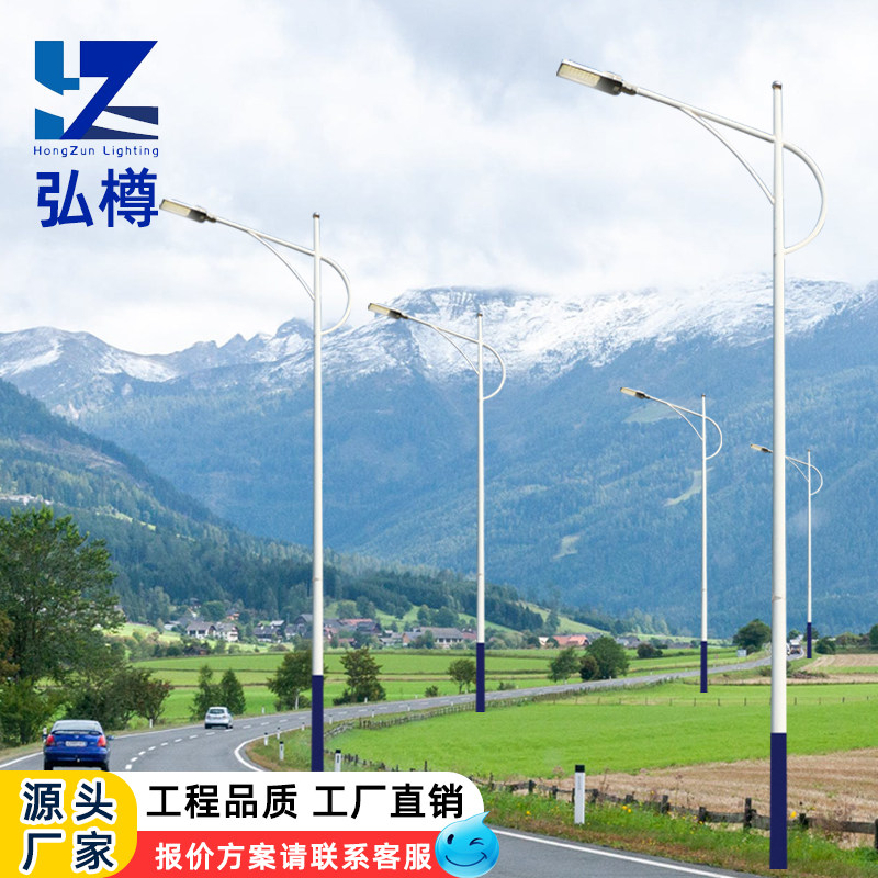 新农村路灯5米6米7米8米9米10米超亮led节能户外路灯高杆灯广场