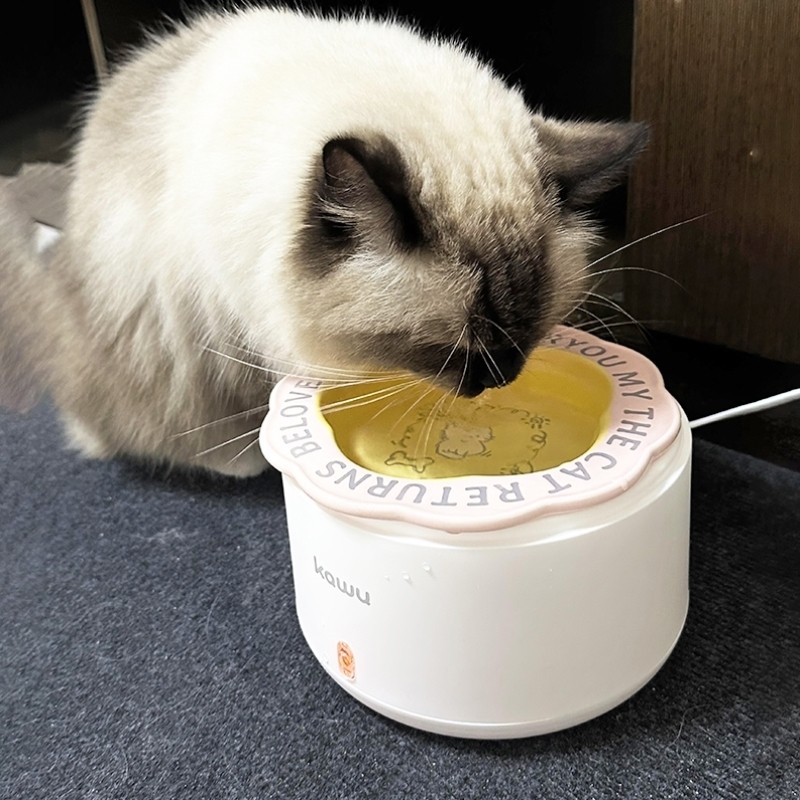 酸奶机猫咪喝水恒温猫咪饮水机自动循环冬季加热罐头陶瓷保温饮水