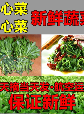 新鲜野生蔬菜养心菜救心菜救心草高钙菜景天三七费菜当天摘当天发