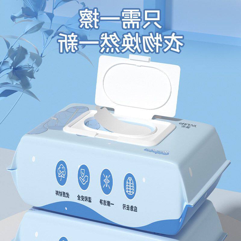 剂去羽绒服清洁湿纸巾免渍加厚衣物家用擦拭专用湿巾大包清洗卫生
