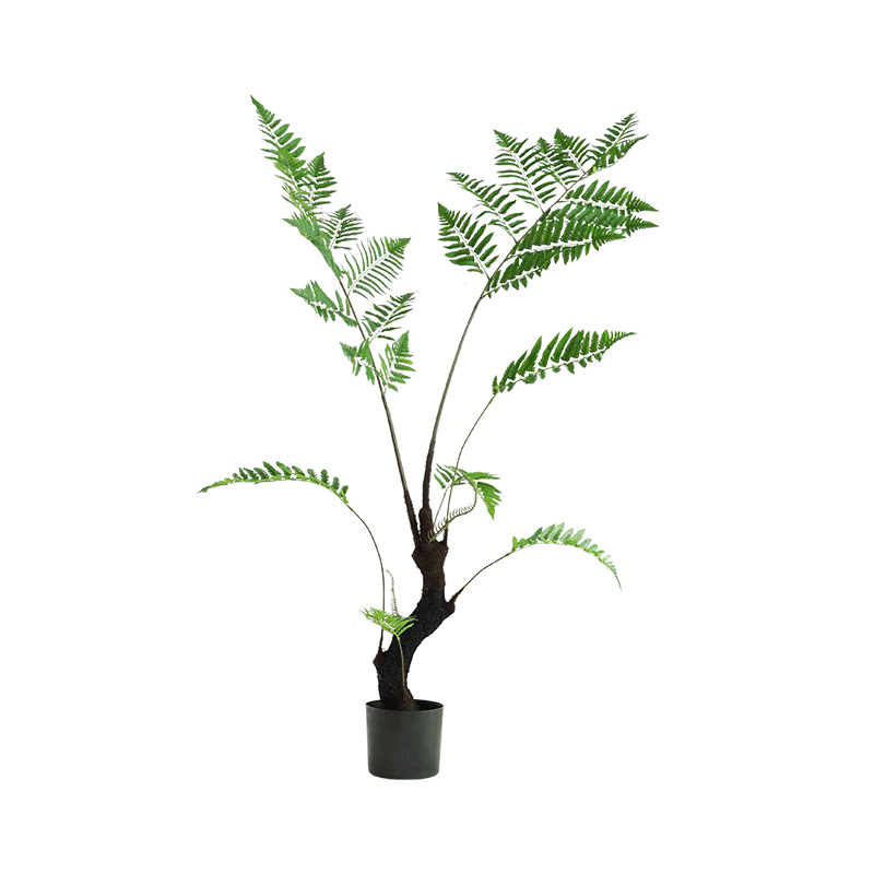 臭皮匠金丝猴蕨仿真植物盆栽客厅