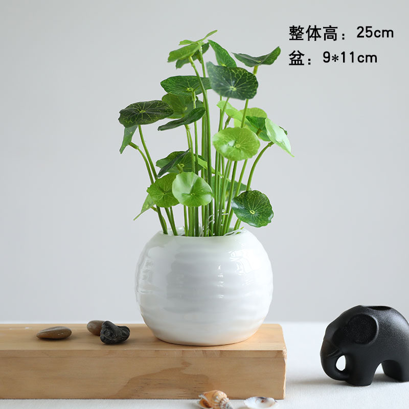 室内绿植郁金香绿萝小盆栽仿真植物办公室客厅装饰摆件简约绿萝