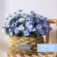 Большая корзина+10 букет синих цветов