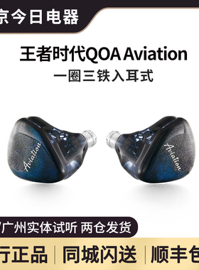 新品 QOA Aviation 一圈三铁入耳式挂耳高解析hifi耳机外观手绘