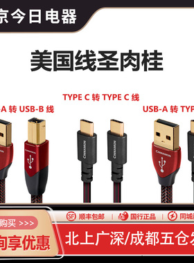 美国Audioquest线圣AQ肉桂Cinnamon A-B/Type-C/OTG解码USB音频线