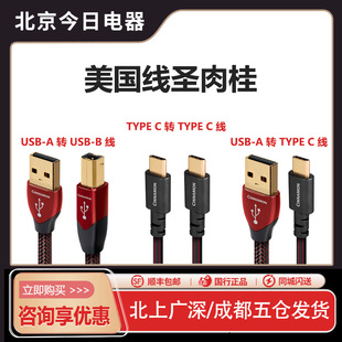 OTG解码 USB音频线 Type 美国Audioquest线圣AQ肉桂Cinnamon