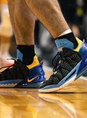 Nike Lebron 18 EP 