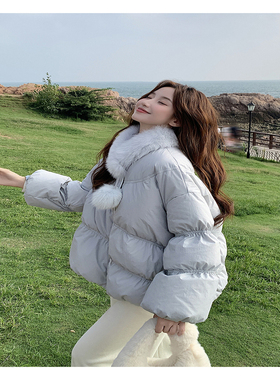 2C291蓝色时尚毛领羽绒服YRF9711-P295-K499