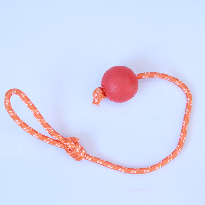 宠物狗狗磨牙玩具球耐咬金毛德牧