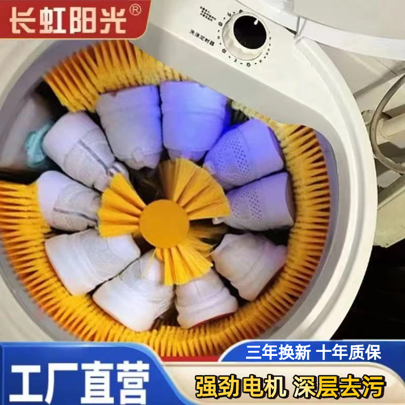 长虹阳光新款洗鞋机家用小型刷鞋机半全自动洗脱烘一体洗衣袜神器