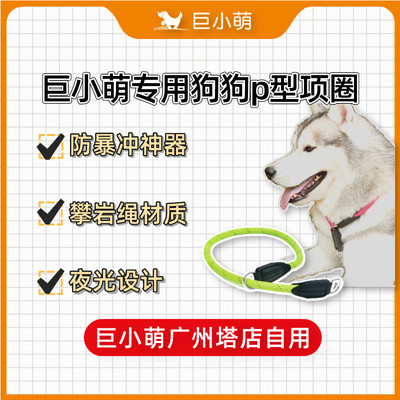 狗狗P绳项圈在家可戴训练用