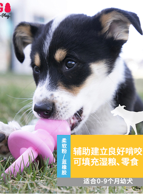 KONG幼犬奶嘴漏食玩具耐咬天然橡胶宠物智力中小型犬磨牙小狗玩具