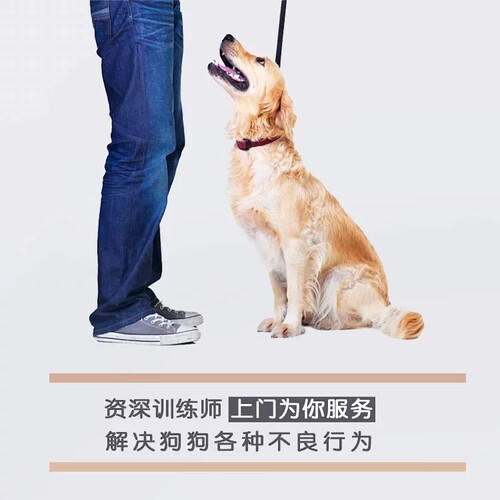 巨小萌在线一对一训练北京上海