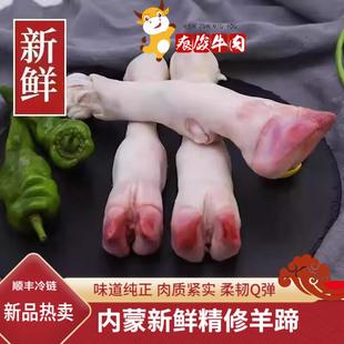 内蒙古羊蹄子新鲜带筋羊肉羊脚羊小腿羊爪火锅烧烤食材批发