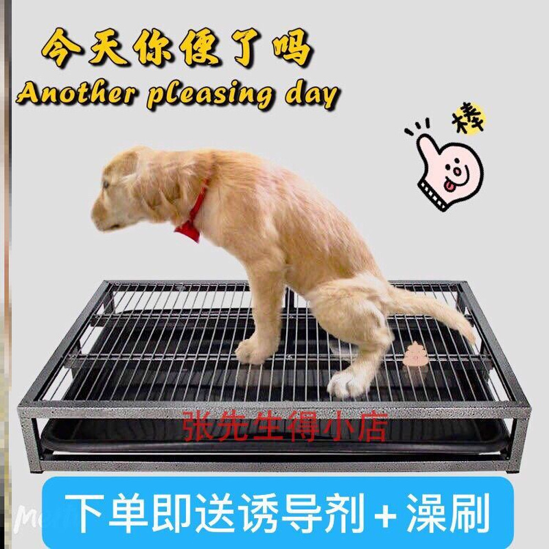 狗厕所中型犬大中小型泰迪金毛厕所狗便盆大号可x冲水厕所U