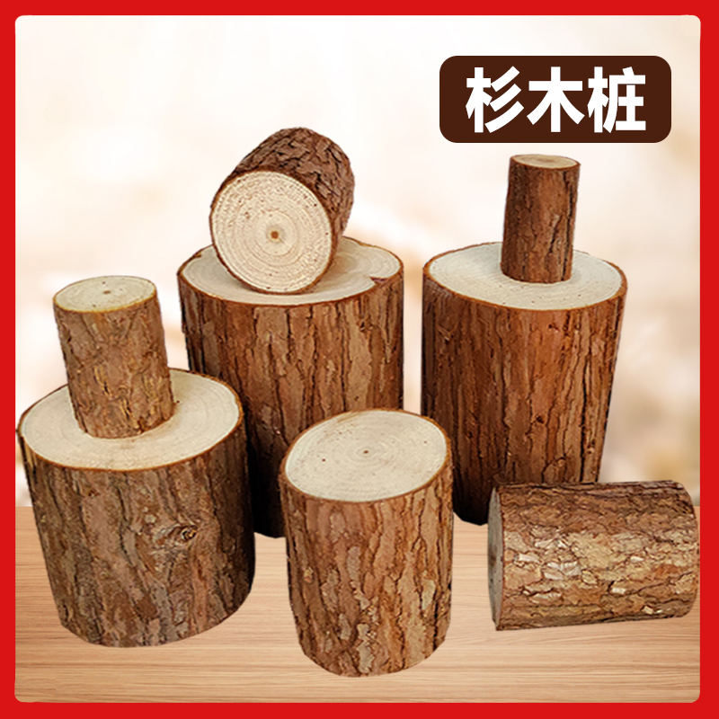 实木小木桩底座原木墩树桩树干拍摄道具手工diy园艺壁炉装饰摆件