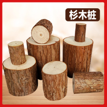 实木小木桩底座原木墩树桩树干拍摄道具手工diy园艺壁炉装饰摆件