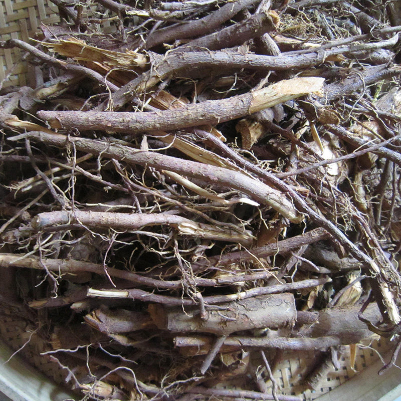 红豆杉根红豆杉树根高含量干叶子赤柏松正宗南方红豆杉原料皮果子