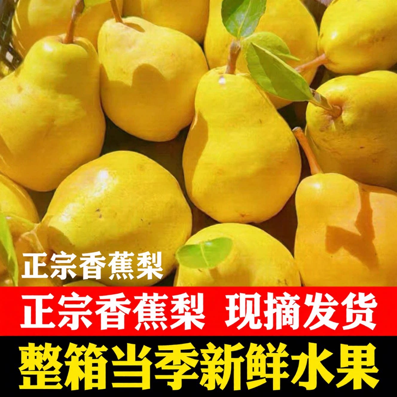 新鲜水果当季整箱香蕉梨
