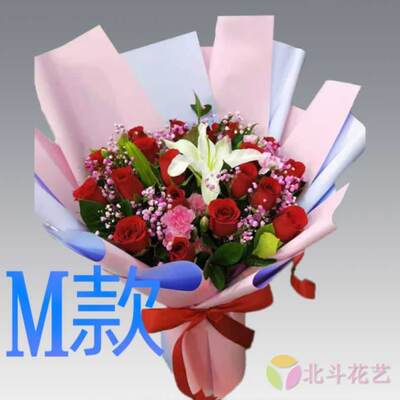 生日慰问康乃馨甘肃兰州花店送花红古区永登县皋兰县同城鲜花快递