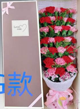 生日慰问康乃馨贵州兴义花店送花贞丰县望谟县册亨县同城鲜花快递