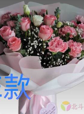 生日探望康乃馨贵州铜仁花店送花思南县印江县德江县同城鲜花快递