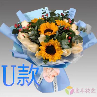 生日探望康乃馨河南信阳花店送花商城县固始县潢川县同城鲜花速递