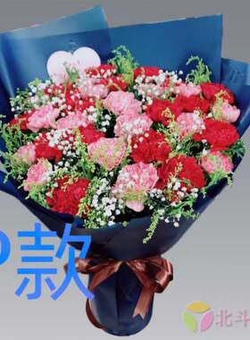 生日祝寿康乃馨海南海口花店送花五指山文昌市万宁市同城鲜花速递