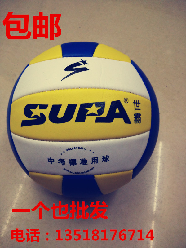Ballon de volley - Ref 2008390 Image 1