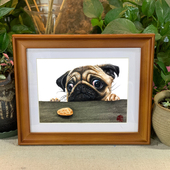 彩铅宠物画像定制可爱小动物装 饰画萌宠生日礼物猫狗自画头像照片