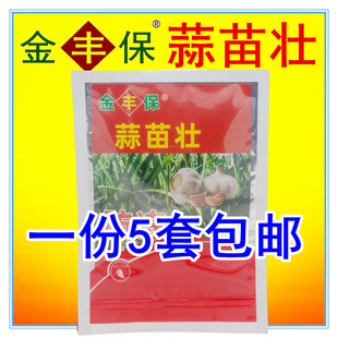 金丰保牌蒜苗壮大蒜生根壮苗防干尖黄叶抗寒防冻叶面肥正品蒜苗壮