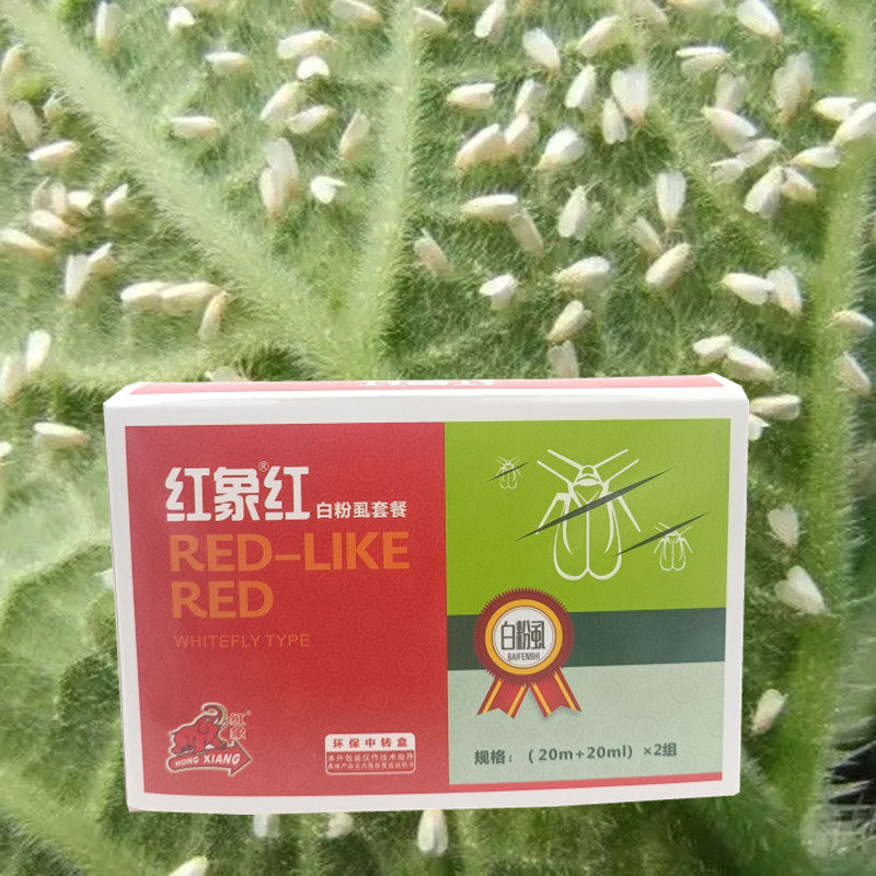 白粉虱套餐 辣椒白萝卜黄瓜番茄白粉虱专用药正品包邮