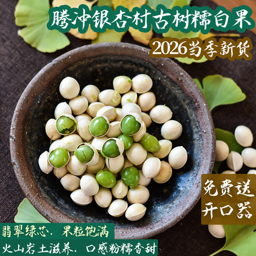 2026年新鲜银杏果腾冲老树糯白果