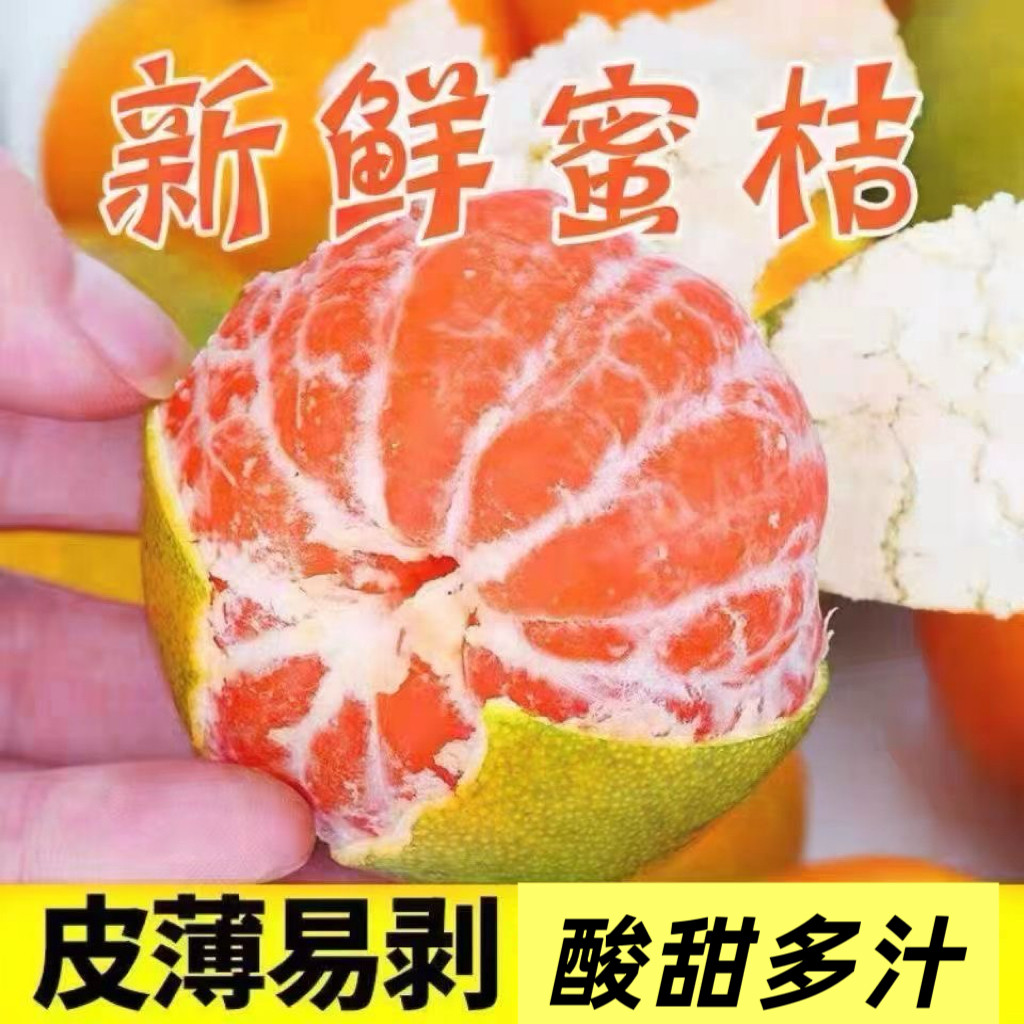 湖北蜜橘新鲜水果当季整箱橘子桔子薄皮无籽柑橘蜜桔酸甜多汁现摘