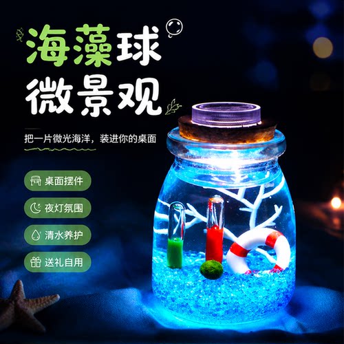 海藻球微景观夜灯解压摆件
