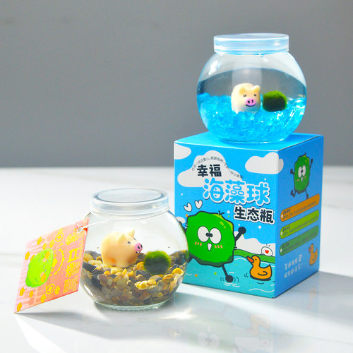如植海藻球微景观水培摆件
