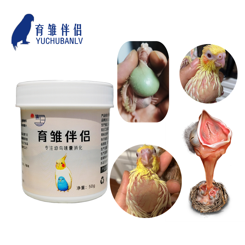 鹦鹉奶粉伴侣幼小鸟助消化玄风增膘溶解嗉囊积食促进吸收润肠通便