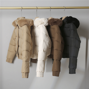 实拍羽绒棉服女短款2024韩版新款大毛领棉袄宽松加厚纯色棉衣外套