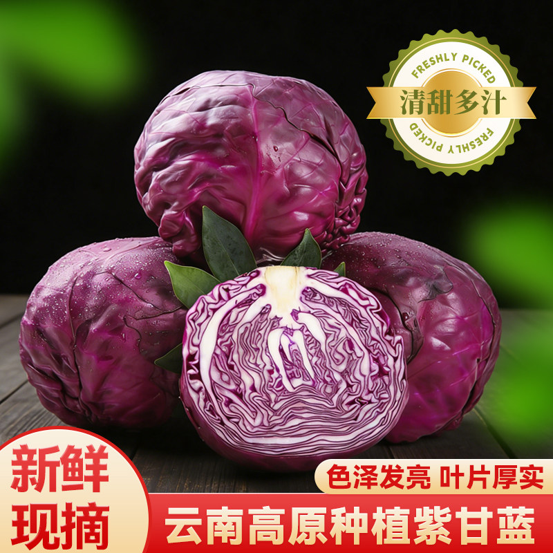 云南新鲜紫甘蓝高原露天种植自然生长脆甜多汁可做沙拉食材