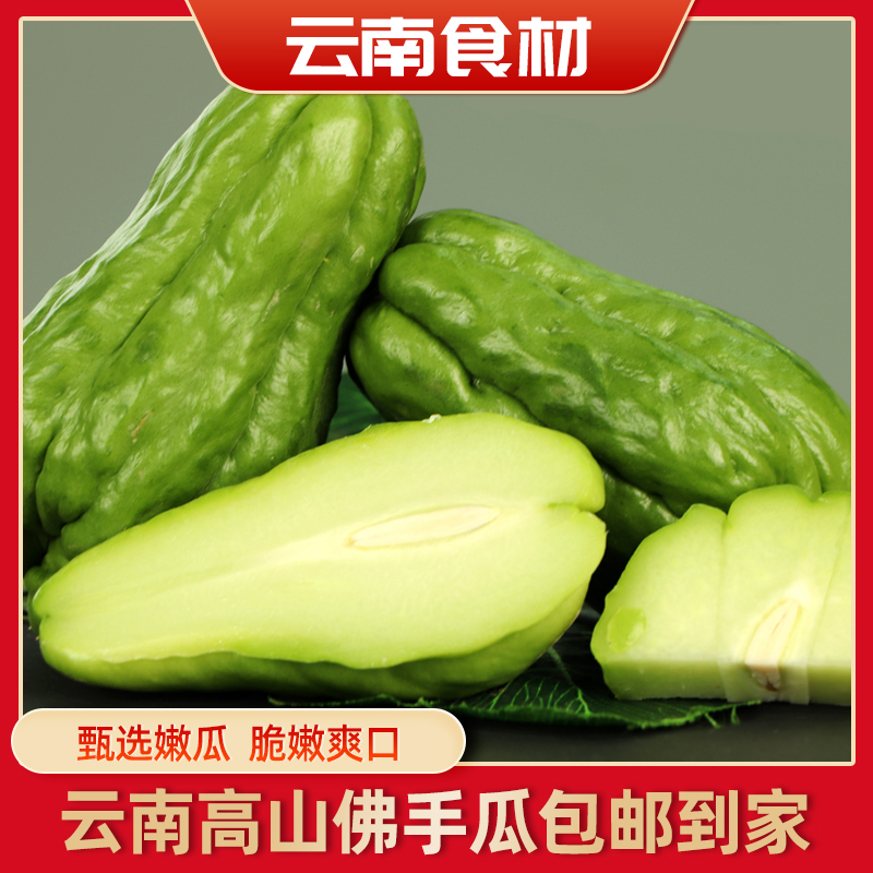 云南新鲜现摘产地直发佛手瓜洋瓜新鲜蔬菜农家自种包邮佛手瓜
